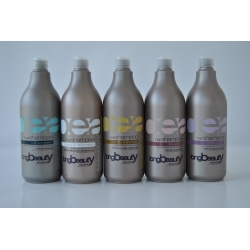 Shampoo Evolution 1000 ml