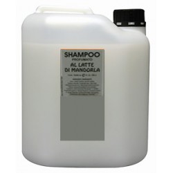 Shampoo Niko tanica 10 lt